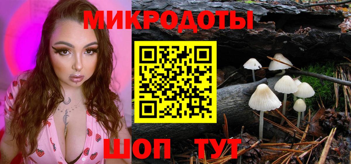 Псилоцибиновые грибы Psilocybe Мирный