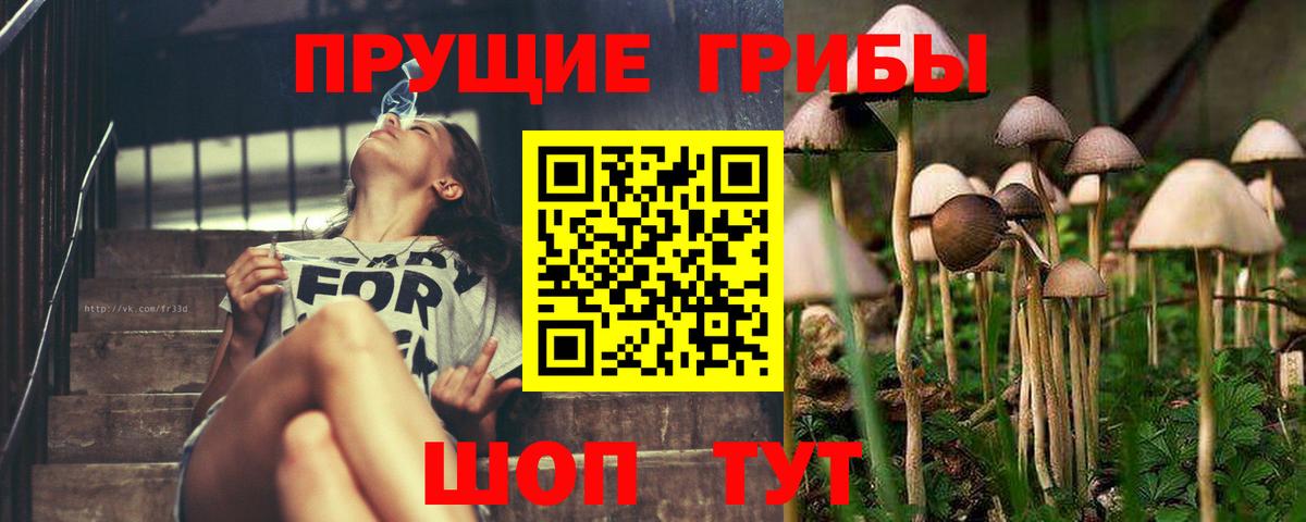 Мирный  Псилоцибиновые грибы Magic Shrooms  Вход с VPN 